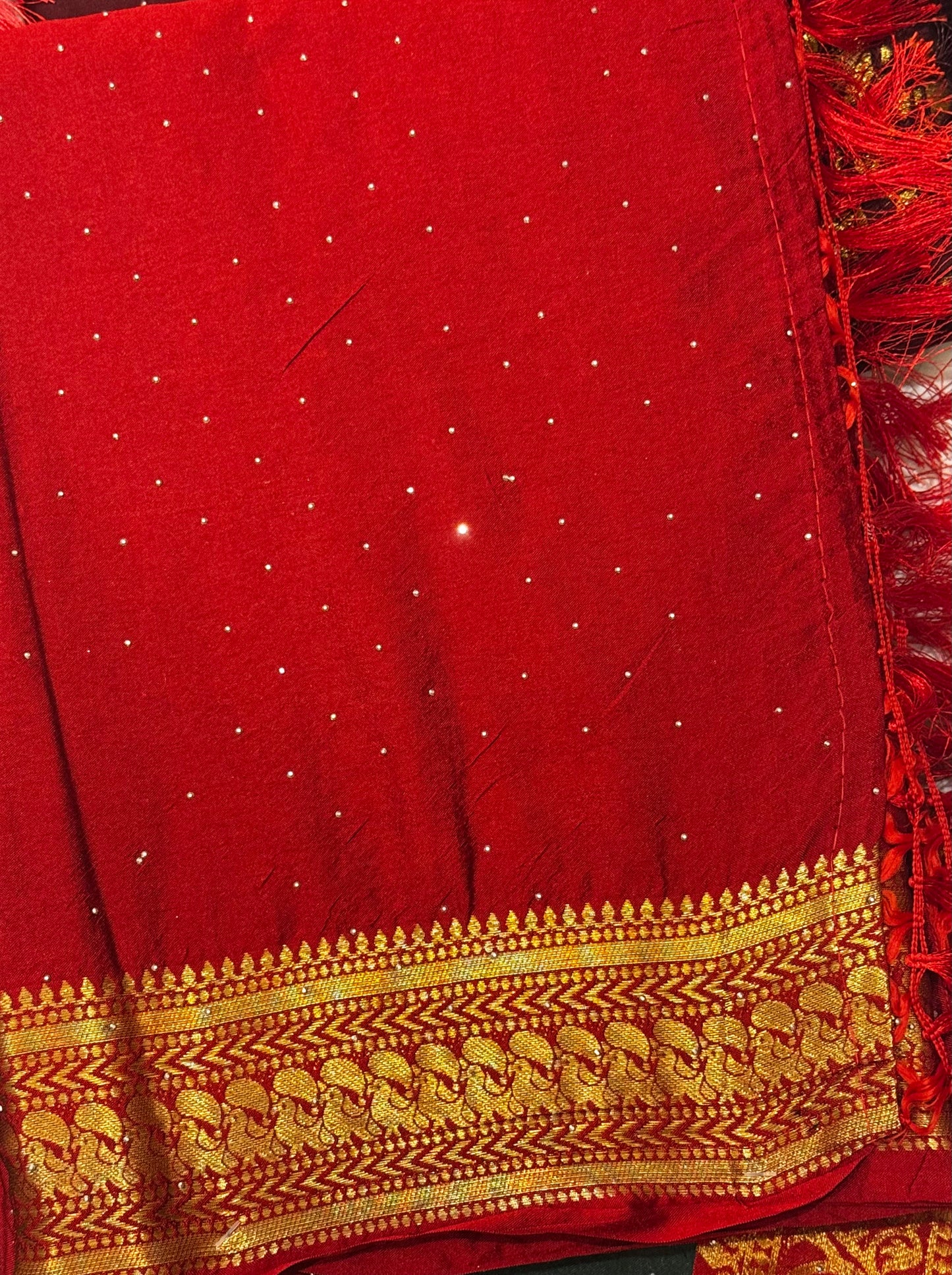 Rajlaxmi – Dola Silk Sarees with Zari Borders and Swarovski Detailing