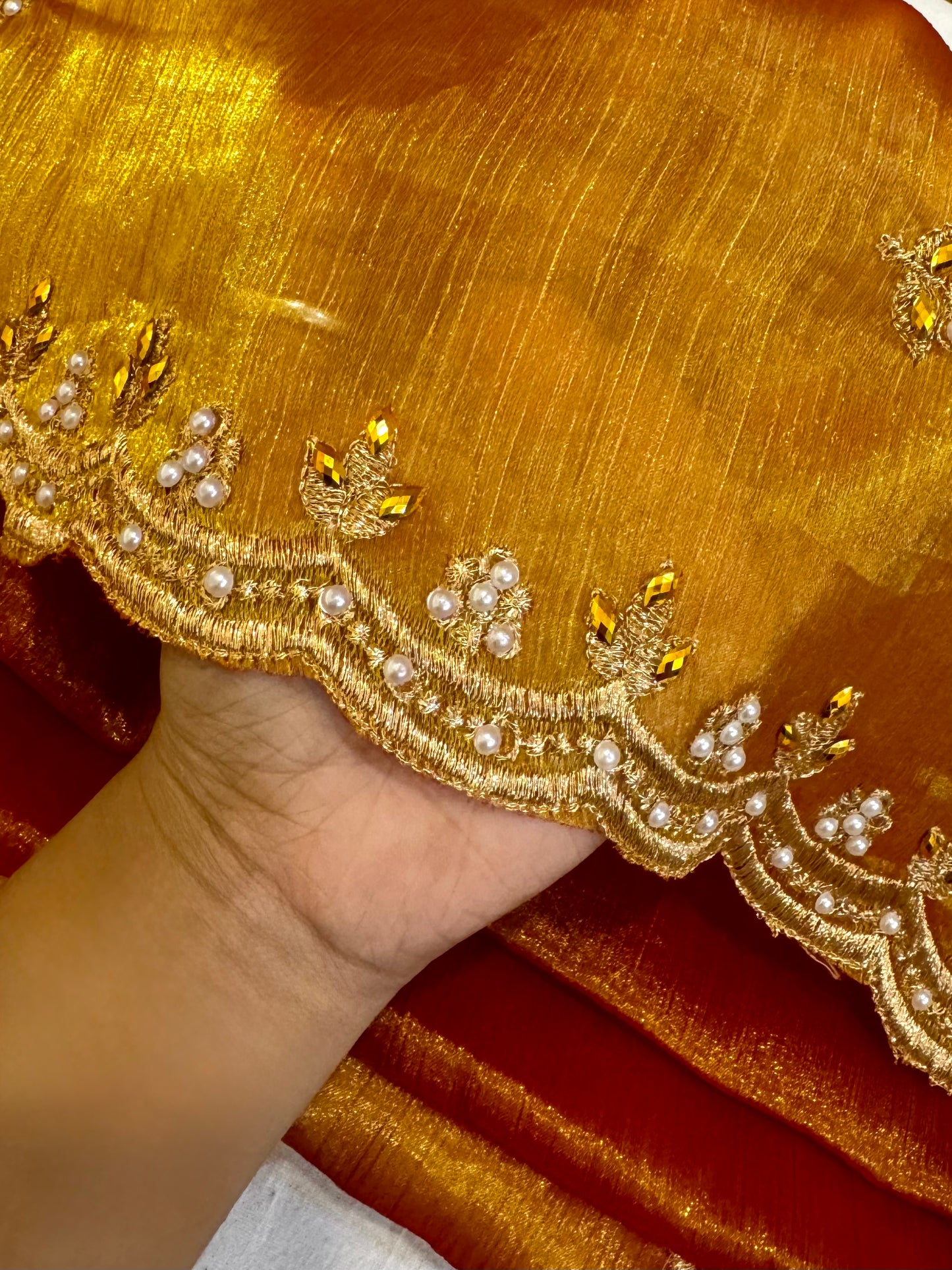 Mrinalini – A Tissue Silk Saree with Pearl and Zari Embroidery