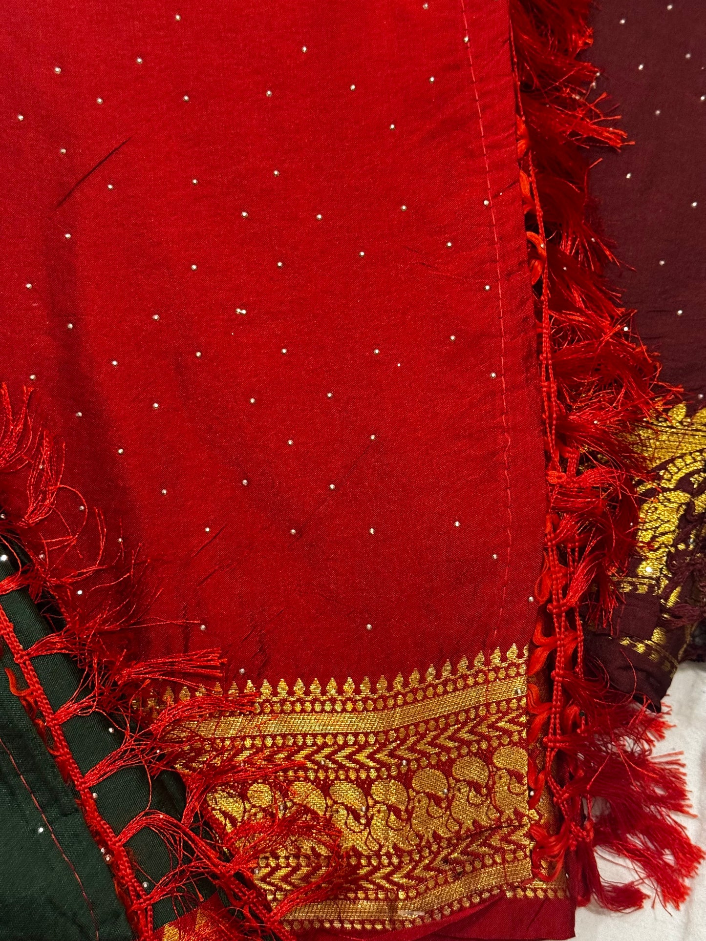 Rajlaxmi – Dola Silk Sarees with Zari Borders and Swarovski Detailing